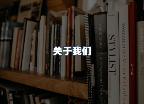 关于我们